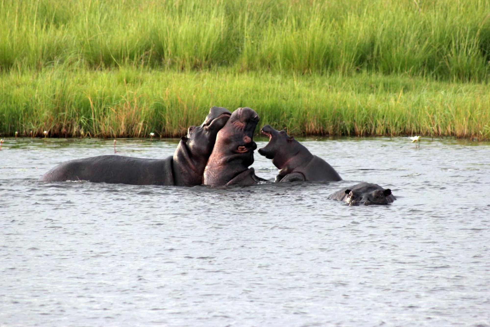 Nkasa Lupala Tented Lodge Sangwali Zewnętrze zdjęcie