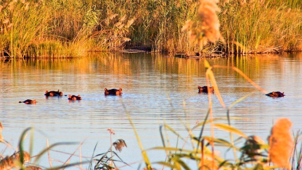Nkasa Lupala Tented Lodge Sangwali Zewnętrze zdjęcie