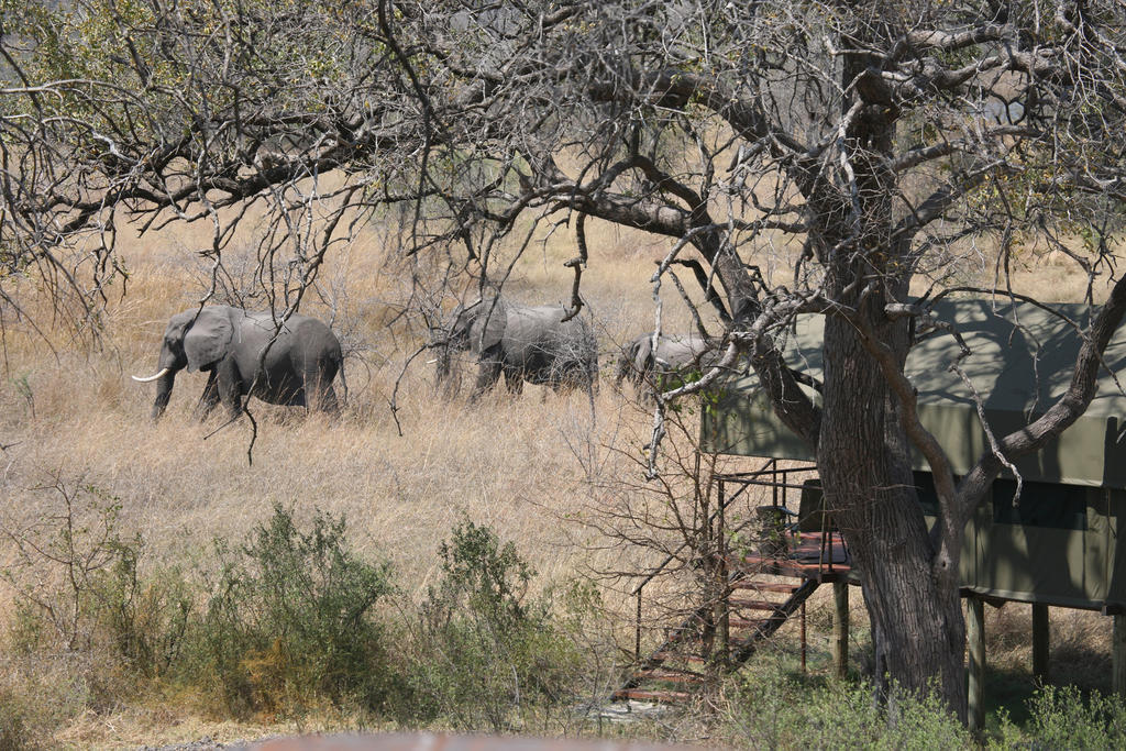 Nkasa Lupala Tented Lodge Sangwali Zewnętrze zdjęcie